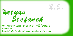 matyas stefanek business card